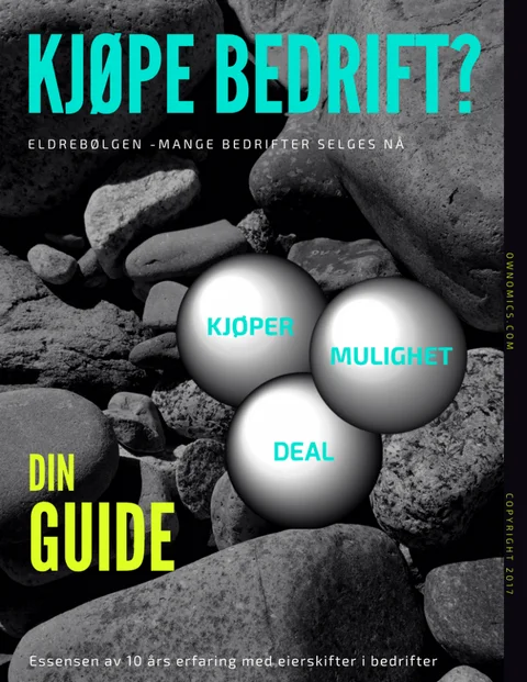 Forsiden av guiden Kjøpe bedrift